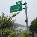 한라산풍경 | 한라산 천백고지 제주도 습지 흐린날 풍경 후기
