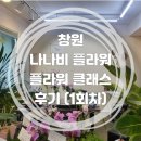 창원 나나비플라워 | 취미반 클래스 1회차 (돔 센터피스)