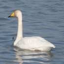 외동배수펌프장 이미지