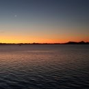 월정방풍림 이미지