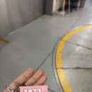 주정차단속-59 | 제주 서귀포 숙소 가성비 호텔 내돈내산 케니스테이, 다정이네김밥 올레시장 본점 후기