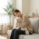 내장축산 이미지