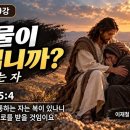 애통하는자는 복이 있나니 (마태 5:4) 이미지