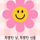 모루 꽃다발 이미지