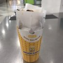 앤티앤스프레즐유성