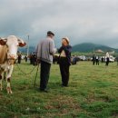 한미사진미술관 이미지