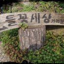 황토와들꽃세상