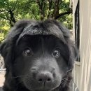 모카커피