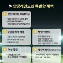 안강골프클럽 이미지