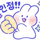 지윤육회연어