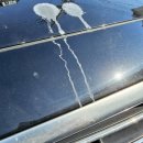 기아손세차장 이미지