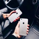 실버코디 이미지