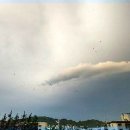 하늘초롬 이미지