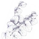 계수나무토끼한마리 이미지