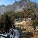 관양동 관양고등학교 앞 이미지