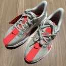 7261 | 나이키 로드 러닝화 페가수스 플러스(FQ7261-001) 구매 후기_인빈서블3 실패 후 드디어 찾은 러닝화