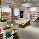 뉴리패션 이미지