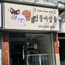 멍뭉이 살롱 이미지