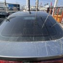 동두천 터틀 프렌즈 이미지