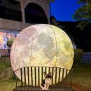 사랑을줄개 이미지