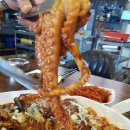 코다리안 이미지