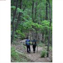 2025년 8월26일 대야산 &amp; 용추계곡 물놀이 산행 이미지