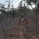 명성화원 이미지