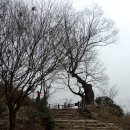 청명헌 | 전주한옥마을 :: 이보다 더 엔틱할 수 없다