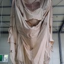 에이스텐트세탁 이미지