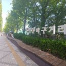 류현진 거리 이미지