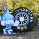 대공원대로, 대공원광장대로 이미지