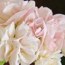 건인농장 이미지