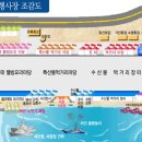 바다축제 이미지