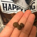 해피독(happy dog) 이미지