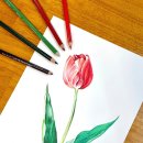 수채화와 디지털 보태니컬 드로잉 이미지