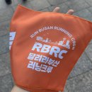 🏃 2026 달려라부산 러닝크루 신청 방법 및 참여 후기