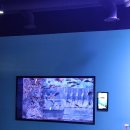 탄금유치원 | [충주] 무료 아쿠아리움🦦 수중터널 포토존 당일치기 여행 후기 🐠