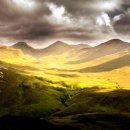 옥천식당 이미지