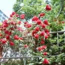 가라뫼공원(소만공원) 이미지