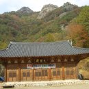 보흥사