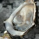 하대동212 이미지