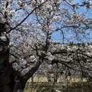 태백산맥문학관주차장 이미지