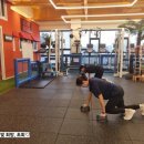 머슬베어짐 이미지