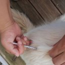 원무역상사 이미지