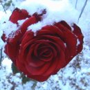 그대 안에그대 이미지