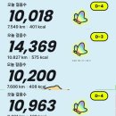 라이더PC | 도보 배달 라이더 알바 후기(쿠팡이츠와 배민커넥트 비교)