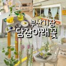 담장 | 부산 기장 정관 꽃차집 담장아래꽃 후기 목련차·다과 즐기는 조용한 힐링 카페