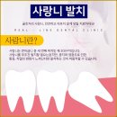 감동치과의원 이미지