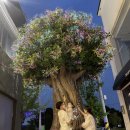 성서아울렛타운 이미지