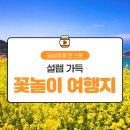 설렘한스푼 이미지